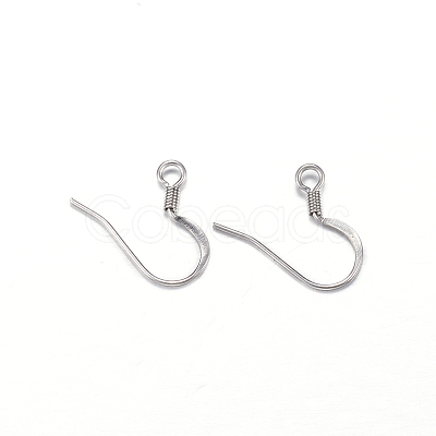 DanLingJewelry 304 Stainless Steel Earring Hooks STAS-DL0001-05P-1