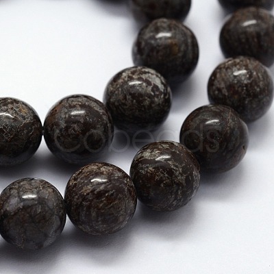 Natural Snowflake Obsidian Beads Strands X-G-I199-01-8mm-1