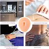 Soft Silicone Belly Button Flexible Model Body Part Displays with Acrylic Stands ODIS-WH0002-21-6