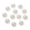 Half Round/Dome Half Drilled Shell Pearl Beads BSHE-N003-12mm-HC301-2
