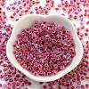 Glass Seed Beads SEED-A032-01F-2