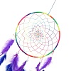 Chakra Theme Iron Woven Web/Net with Feather Pendant Decorations AJEW-B016-03-3