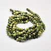 Natural Serpentine Round Beads Strands G-F199-05-10mm-3