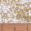 MIYUKI Delica Beads SEED-JP0008-DB0410-4