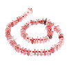Natural Strawberry Quartz Beads Strands G-E569-J09-2
