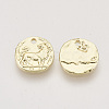 Alloy Charms PALLOY-S121-171-2