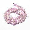 Natural Kunzite Chip Beads Strands G-E271-79-2