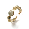 Adjustable Natural Labradorite with Brass Rings G-B075-01G-08-1