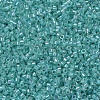MIYUKI Delica Beads X-SEED-J020-DB0079-3
