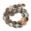 Natural Botswana Beads Strands G-H004-B02-04-3