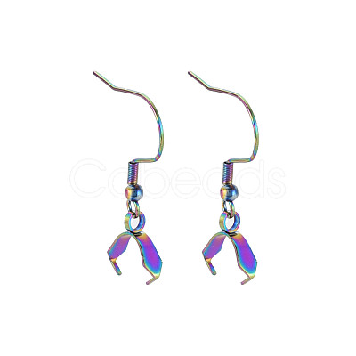 Rainbow Color 304 Stainless Steel Earring Hooks STAS-N098-023-1