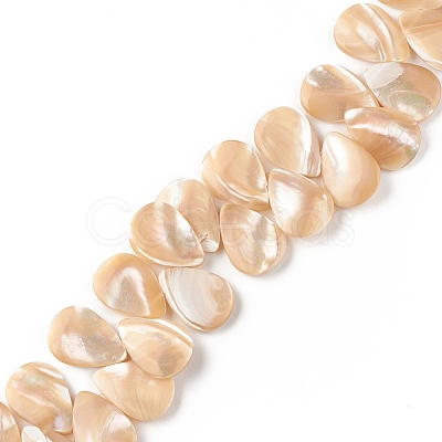 Natural Trochid Shell/Trochus Shell Beads SSHEL-T012-17-1