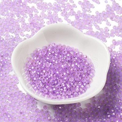 8/0 Glass Seed Beads SEED-Z001-C-E16-1