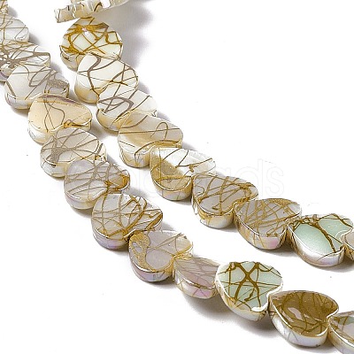 Drawbench Style Natural Freshwater Shell Beads Strands SHEL-F003-03-1