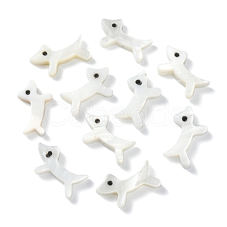 10Pcs Puppy Natural Freshwater Shell Beads SHEL-CJ0001-28-1