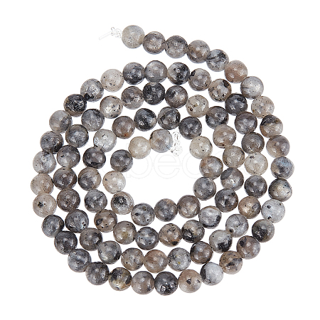  5 Strands Natural Labradorite Beads Strands G-NB0004-55-1