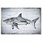 Vintage Metal Tin Sign, Iron Wall Decor for Bars, Restaurants, Cafe Pubs, Rectangle, Shark, 300x200x0.5mm