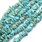 Natural Magnesite Beads Strands, Dyed & Heated, Chip, Turquoise, 3~5mm, Hole: 0.6mm, about 33 inch(84cm)