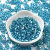 Glass Seed Beads SEED-M011-01A-14-2