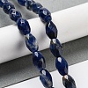 Natural Sodalite Beads Strands G-P520-C07-01-2