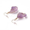 Natural Mixed Stone Dangle Earrings EJEW-F228-A-4
