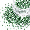 12/0 Glass Seed Beads SEED-S005-36-1