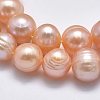 Natural Cultured Freshwater Pearl Beads Strands PEAR-F007-06A-01-3