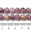 Natural Lepidolite/Purple Mica Stone Beads Strands G-G160-A01-01-5