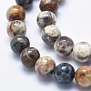 Natural Pietersite Beads Strands G-K256-49-10mm-3