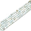 Natural Larimar Beads Strands G-A187-02C-1
