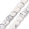 Natural Howlite Beads Strands G-T138-157-4