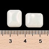 Opaque Resin Decoden Cabochons CRES-I036-09C-3