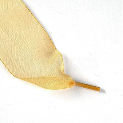 Flat Transparency Polyester Chiffon Shoelaces DIY-WH0265-04J-1