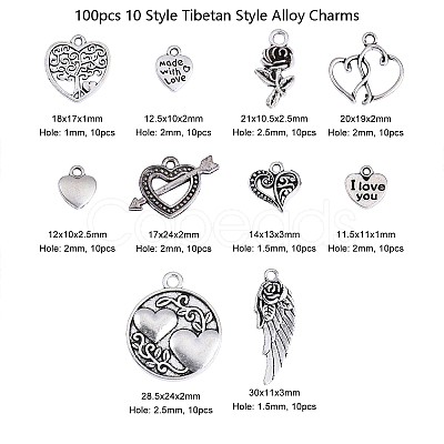 100pcs 10 Style Tibetan Style Alloy Charms TIBEP-CJ0001-37-1