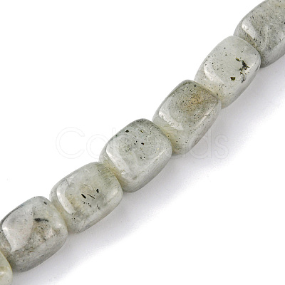 Natural Labradorite Beads Strands G-F743-02B-1