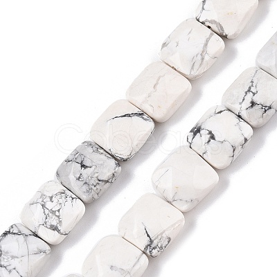 Natural Howlite Beads Strands G-T138-157-1