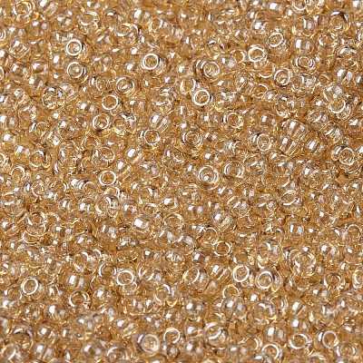 MIYUKI Round Rocailles Beads X-SEED-G008-RR2439-1