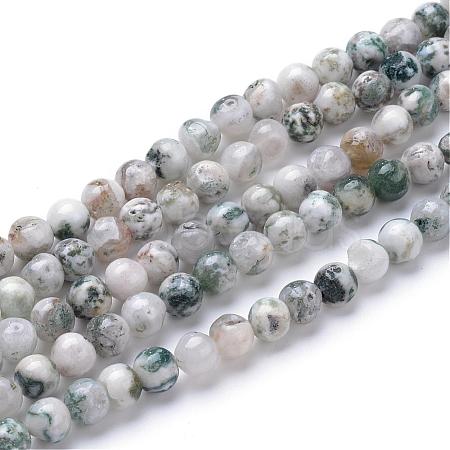 Natural Tree Agate Bead Strands G-R412-25-6mm-1