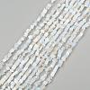 Chip Opalite Beads Strands G-N0134-15-4