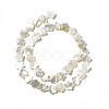 Natural White Shell Beads Strands SHEL-F003-07-4