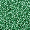 MIYUKI Delica Beads X-SEED-J020-DB2188-3