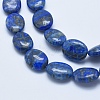 Natural Lapis Lazuli Beads Strands G-E446-11B-3