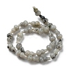 Natural Labradorite Beads Strands G-C039-A01-3