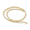 Natural Trochus Shell Beads Strands SSHEL-H072-13A-2
