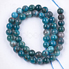 Natural Apatite Beads Strands G-S333-8mm-031-2