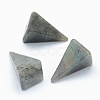 Natural Labradorite Beads X-G-E490-D04-1