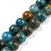 Natural Chrysocolla Beads Strands G-P503-10MM-05-1
