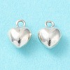 925 Sterling Silver Charms STER-H106-01C-S-2