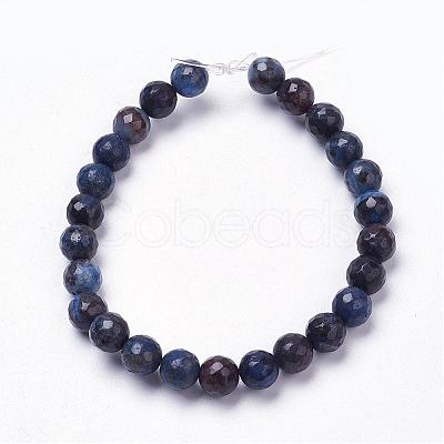 Natural Silver Leaf Jasper Beads Strands G-K181-8mm-O03-1