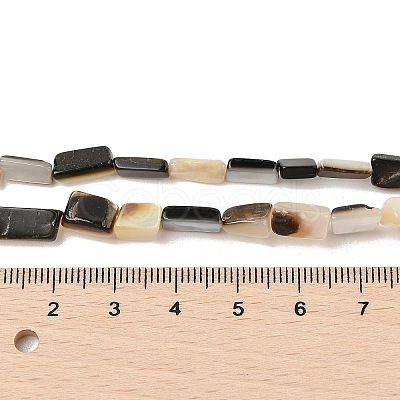 Natural Black Lip Shell Beads Strands SHEL-R100-01A-1